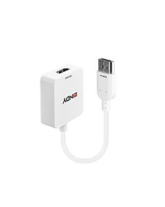 Lindy HDMI 1.4 to DisplayPort 1.1 Converter 38146
