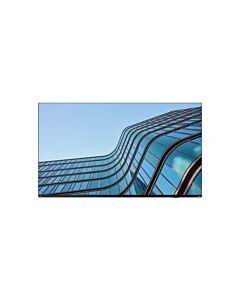 Lenovo ThinkVision E55 LFD computer monitor 138.7 cm (54.6") 3840 x 2160 pixels 4K Ultra HD IPS Black 64A9GAT1EK