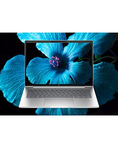 HP ProBook 4 G1iR Intel Core 5 120U Laptop 35.6 cm (14") WUXGA 16 GB DDR5-SDRAM 256 GB SSD Wi-Fi 6E (802.11ax) Windows 11 Pro Silver B3AC5AT#ABU