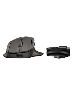 HP UF SCROLL WRLS MSE 785M EMEA-INTL EN mouse B8YX4AA#ABB
