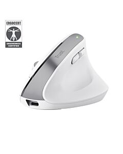 Trust Bayo+ mouse Office Right-hand RF Wireless + Bluetooth Optical 2400 DPI 25399