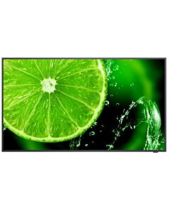 NEC MultiSync E498 124.5 cm (49") IPS 350 cd/m² 4K Ultra HD Black 16/7