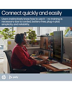 Poly Blackwire 3320 Stereo Microsoft Teams Certified USB-C Headset +USB-C/A Adapter