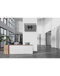 Neomounts WL35-750BL14 Heavy duty wall mount 42-75" - tilt - lockable - fast installation - TÜV WL35-750BL14