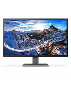 Philips P Line 439P1/00 computer monitor 108 cm (42.5") 3840 x 2160 pixels 4K Ultra HD LCD Black 439P1/00