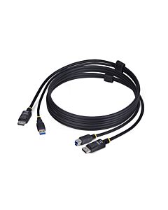 StarTech.com 6ft (1.8m) DisplayPort and USB 5Gbps KVM Cable, 4K 60Hz, Universally Compatible DP 1.2/USB 3.0 Combo Cable for KVM Switches