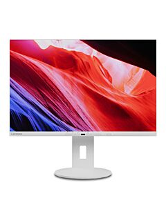 Lenovo C24d-20 computer monitor 61 cm (24") 1920 x 1200 pixels Full HD LED Grey, White 23209