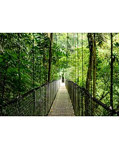 HP EliteBook 6 G1ah AMD Ryzen™ 5 220 Laptop 40.6 cm (16") WUXGA 16 GB DDR5-SDRAM 512 GB SSD Wi-Fi 6E (802.11ax) Windows 11 Pro AI PC Silver C68QXAT#ABU