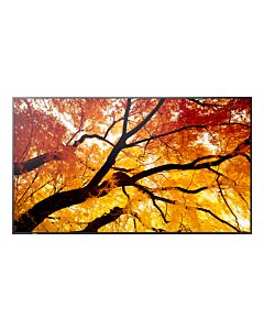 Sharp MultiSync M862 Digital signage flat panel 2.18 m (86") LCD 550 cd/m² 4K Ultra HD Black 24/7 60006058