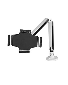 StarTech.com Desk-Mount Tablet Arm - Articulating - For iPad or Android ARMTBLTIW