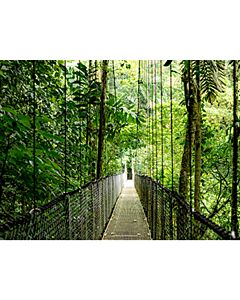 HP EliteBook 6 G1ah AMD Ryzen™ 5 220 Laptop 35.6 cm (14") WUXGA 24 GB DDR5-SDRAM 512 GB SSD Wi-Fi 6E (802.11ax) Windows 11 Pro AI PC Silver CJ9L5AT#ABU