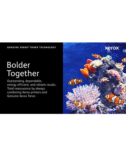 Xerox Genuine ® B305 Multifunction Printer​/​B310 Printer​/​B315 Multifunction Printer Black Standard capacity Toner Cartridge (3000 Pages) - 006R04376