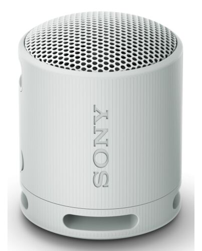 Sony SRS-XB100 - Wireless Bluetooth Portable Speaker, Durable IP67 Waterproof & Dustproof, 16 Hour Battery, Eco, Outdoor and Travel in Light Grey