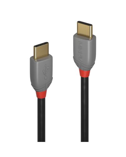 Lindy 2m USB 2.0 Type C to C Cable, Anthra Line