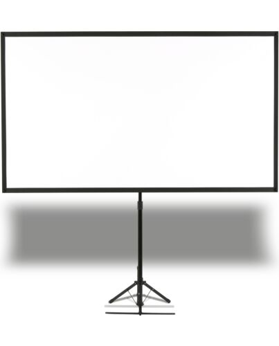 Epson Screen (80