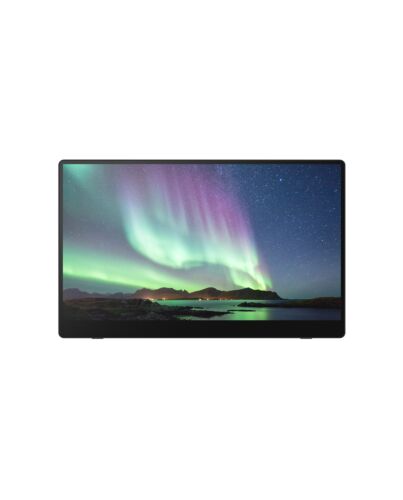 Ricoh Portable Monitor 150