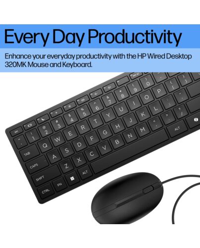 HP Wired Desktop 320MK Mouse and Keyboard 9SR36UT#ABU