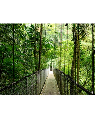 HP EliteBook 6 G1ah AMD Ryzen™ 5 220 Laptop 35.6 cm (14