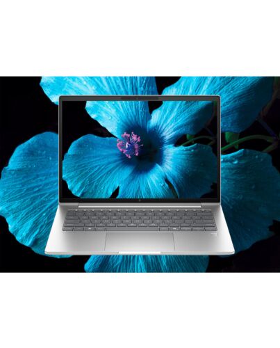 HP EliteBook 6 G1ah PC Wolf Pro Security Edition AMD Ryzen™ 5 220 Laptop 35.6 cm (14