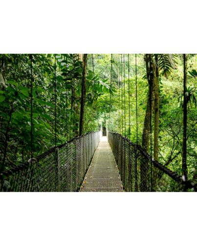 HP EliteBook 6 G1a AI PC AMD Ryzen™ AI 7 250 Laptop 35.6 cm (14