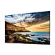 Samsung 50" Crystal UHD 4K Signage QE50T