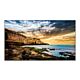 Samsung 50" Crystal UHD 4K Signage QE50T