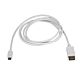 StarTech.com 6ft/1.8m USB C to DisplayPort 1.2 Cable 4K 60Hz - USB-C to DisplayPort Adapter Cable HBR2 - USB Type-C DP Alt e to DP Monitor Video Cable - Works w/ Thunderbolt 3 - White