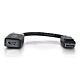 C2G 20cm DisplayPort to HDMI Adapter - DP Male to HDMI Female - Black