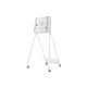 Samsung Stand for Flip (Interactive Display) 55inch (STN-WM55R)