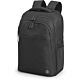 HP Renew Business 17.3-inch Laptop Backpack