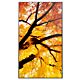 Sharp MultiSync M552 Digital signage flat panel 139.7 cm (55") LCD 550 cd/m² 4K Ultra HD Black Touchscreen