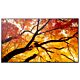 Sharp MultiSync M552 Digital signage flat panel 139.7 cm (55") LCD 550 cd/m² 4K Ultra HD Black Touchscreen