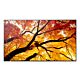 Sharp MultiSync M322 Digital signage flat panel 81.3 cm (32") LCD 550 cd/m² Full HD Black