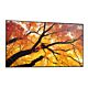 Sharp MultiSync PN-M982 Interactive flat panel 2.48 m (97.5") LED 550 cd/m² 4K Ultra HD Black 24/7