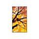 Sharp MultiSync M432 Digital signage flat panel 108 cm (42.5") LCD 550 cd/m² 4K Ultra HD Black