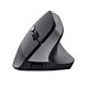 Trust TM-270 mouse Office Right-hand RF Wireless Optical 2400 DPI