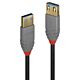 Lindy 0.5m USB 3.2 Type A Extension Cable, 5Gbps, Anthra Line