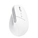 Trust Bayo+ mouse Office Right-hand RF Wireless + Bluetooth Optical 2400 DPI