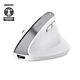 Trust Bayo+ mouse Office Right-hand RF Wireless + Bluetooth Optical 2400 DPI