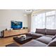 Hama Basic television antenna Indoor
