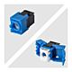 StarTech.com Cat6 Keystone Jack, 24-Pack RJ45 Ethernet Keystone Jacks, UTP Cat6 Wall Jack, 180-Degree Toolless, Black