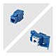 StarTech.com Cat6 Keystone Jack, 24-Pack RJ45 Ethernet Keystone Jacks, UTP Cat6 Wall Jack, 180-Degree Toolless, Blue