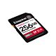 Kingston Technology 256GB Canvas React Plus SDXC UHS-II 280R/150W U3 V60 for Full HD/4K