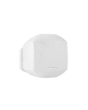 Biamp Desono MASK2 2-way White Wired 35 W