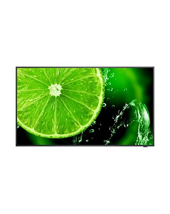 NEC E series MultiSync E558 Digital signage flat panel 138.7 cm (54.6") LCD 350 cd/m² 4K Ultra HD Black 16/7