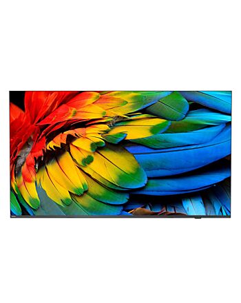 Philips 50HFL6214U 127 cm (50") 4K Ultra HD Smart TV Wi-Fi Anthracite 400 cd/m² Rollable display