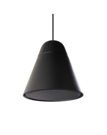 Biamp Desono P30DT Two-Way 4.25-inch Pendant Mount Loudspeaker Black