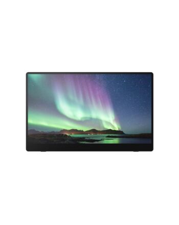 Ricoh Portable Monitor 150
