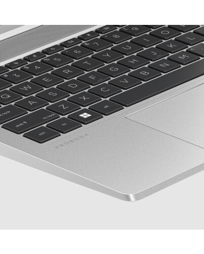 HP ProBook 455 G10 AMD Ryzen™ 5 7530U Laptop 39.6 cm (15.6