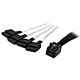 StarTech.com Internal Mini-SAS to SATA Cable - SFF-8643 to 4x SATA - 1 m